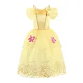 Belle Dress Only