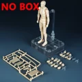 Khaki male-NO BOX