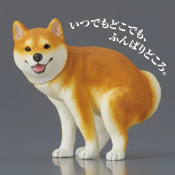Shiba Inu