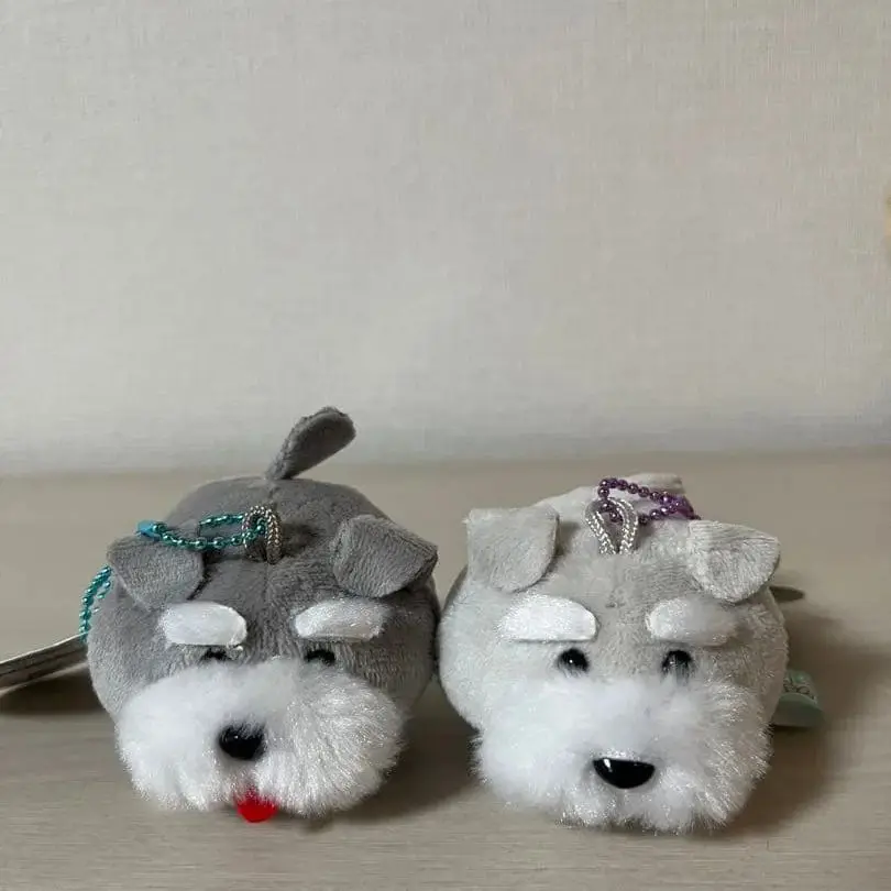 Amuse cápsula juguetes lindo kawaii peluche Shuna y Bob juguetes de peluche Schnauzer colorido BC bolsa colgante cachorro gordo perro regalos figuras - imagen 4