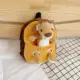 Lions