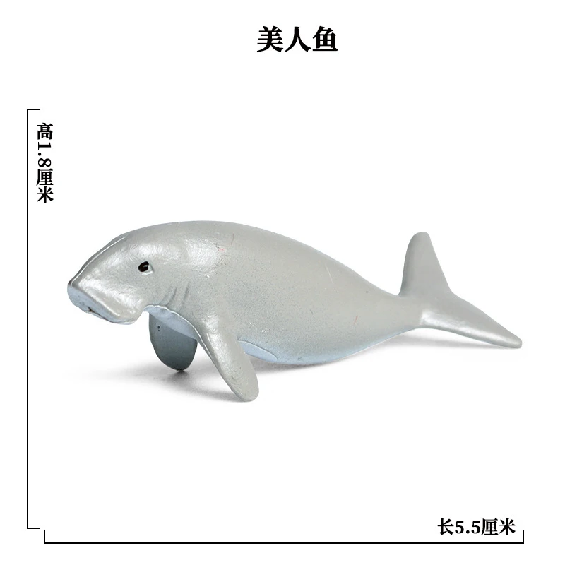 SEA LIFE - 8