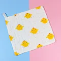 25X25cm