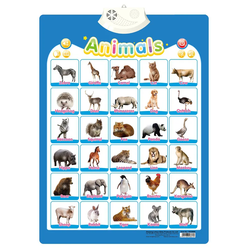 Animal