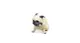 pug