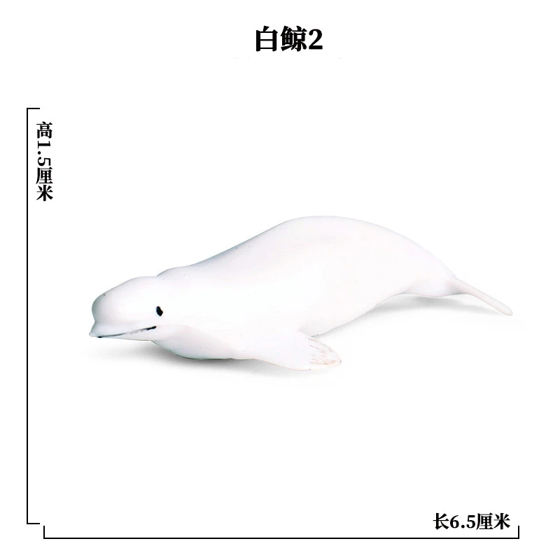 SEA LIFE - 2