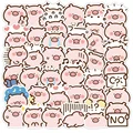 40PCS