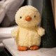 chick 20cm