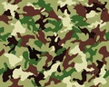 Camouflage