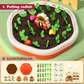 Radish