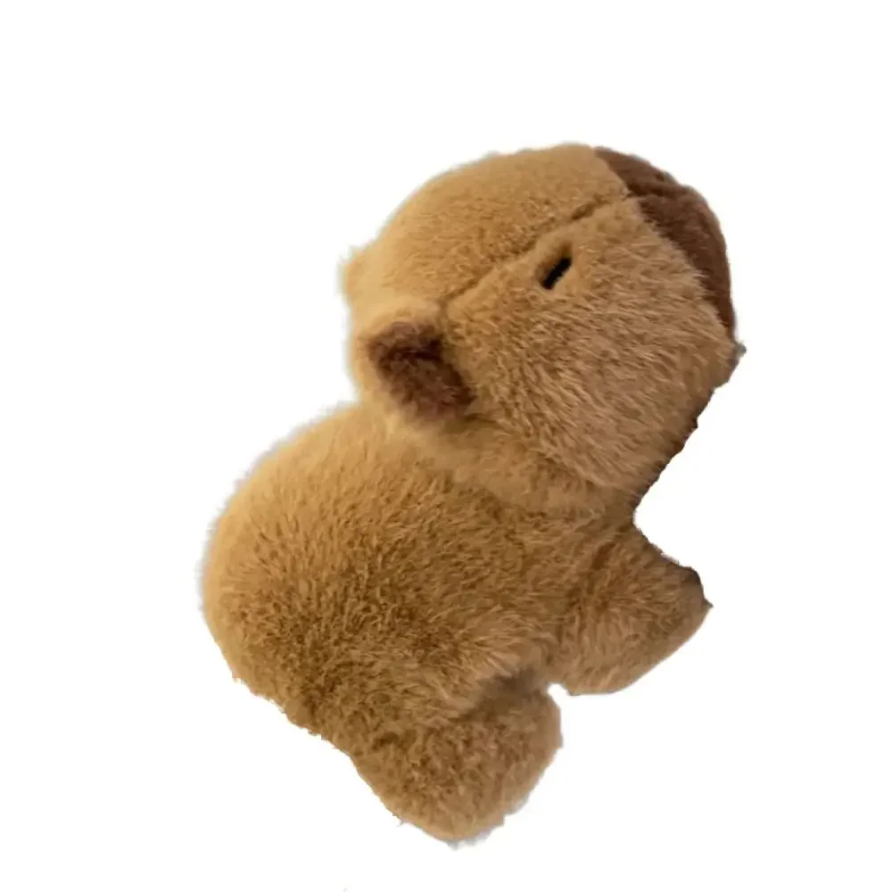 1pc
