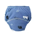 blue white bear