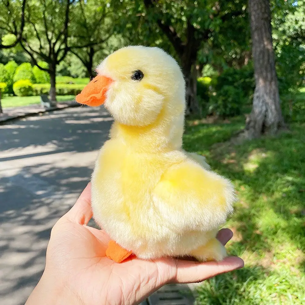 Yellow Duck
