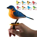 ring(random)