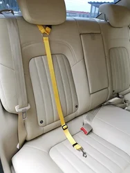 Cinturón de seguridad ajustable para perro en el coche