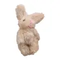 Khaki rabbit