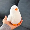 White Chicken
