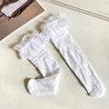 no.3 sunflower White
