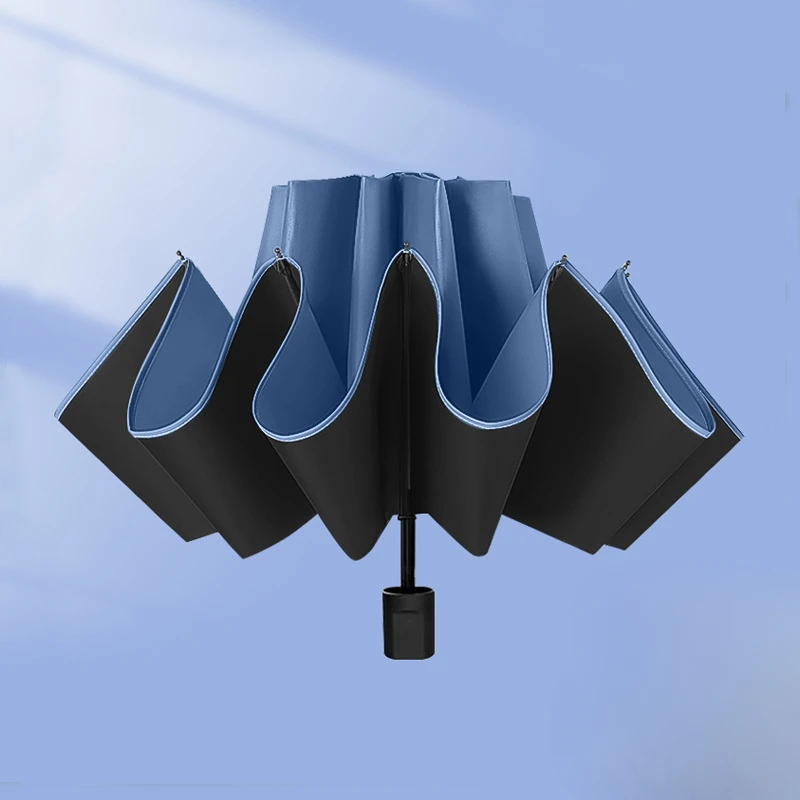 Manual version Blue