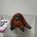 Gorilla