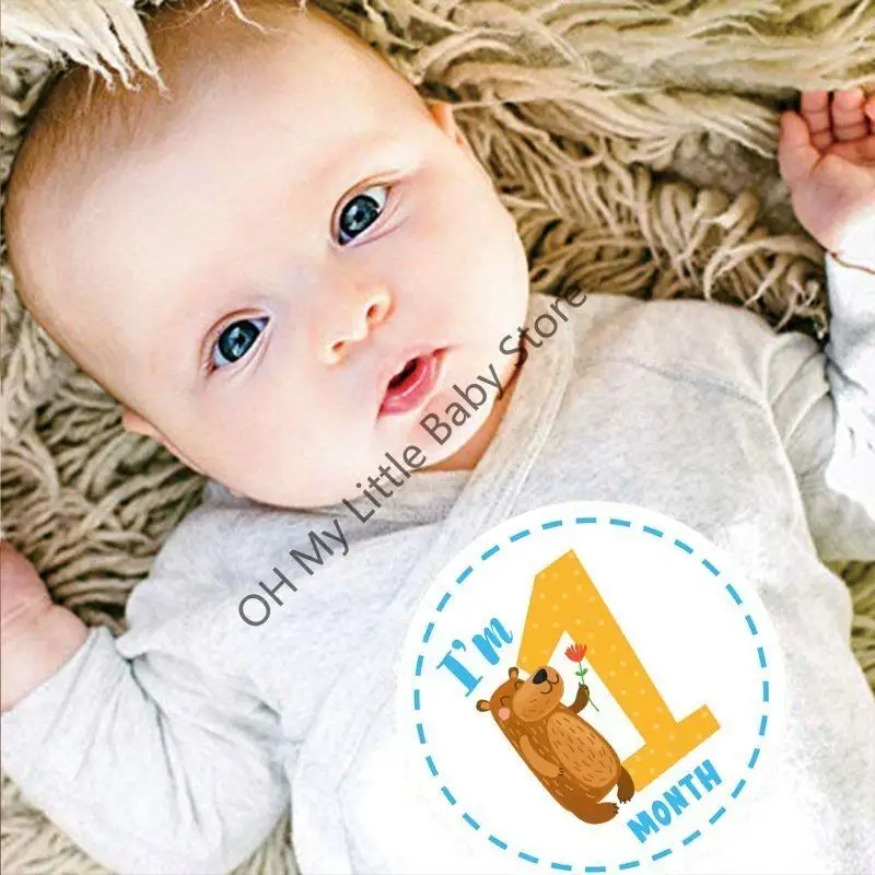 Pegatizas mes M76C para baby boy girl animales estampado impresión 12 tarjetas coloridas unisex - imagen 3