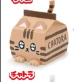 Chatra milk cat