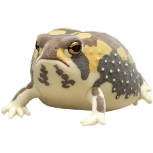 American Frog Brown