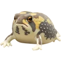 American Frog Brown