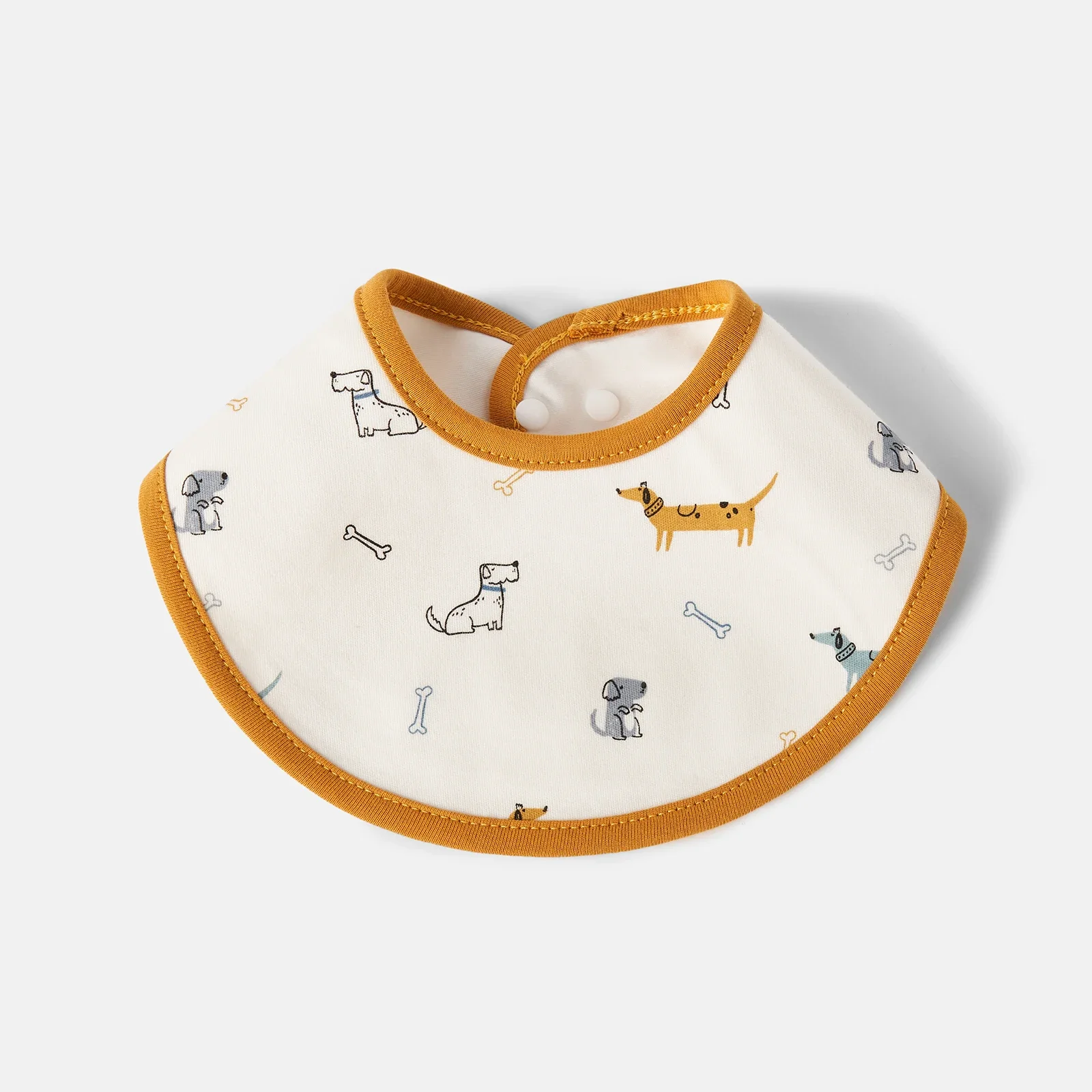 Dachshund
