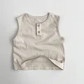 23053-apricot