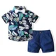 tzb1888-Navy blue