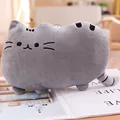 Grey Cookie Cat