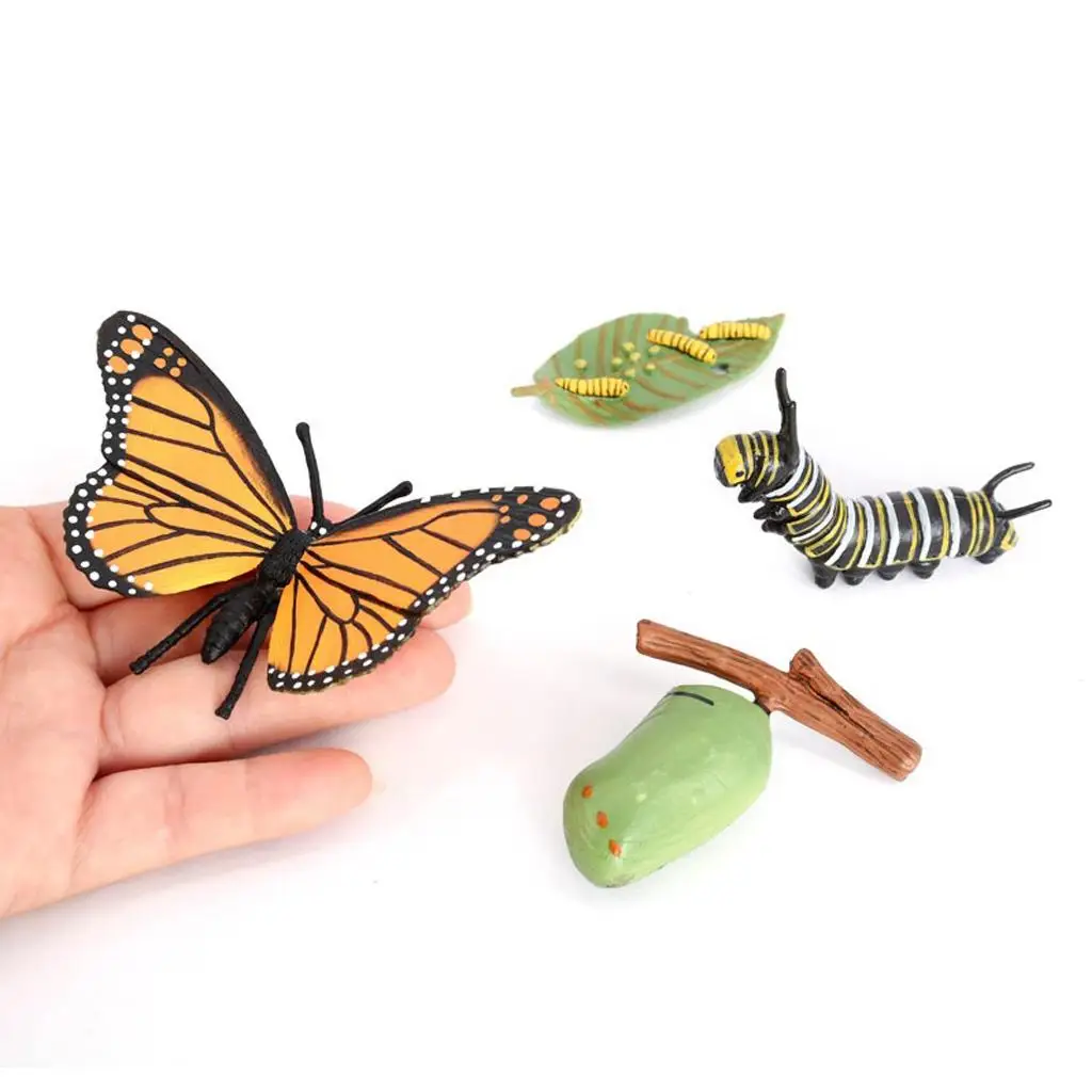 Nature Butterfly Life Cycle Stages Growth Figures Playset Pre- Early Education Learning Toys 