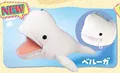 Beluga whale