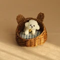 B2-with dog doll