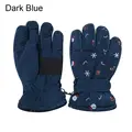 style4-Dark Blue