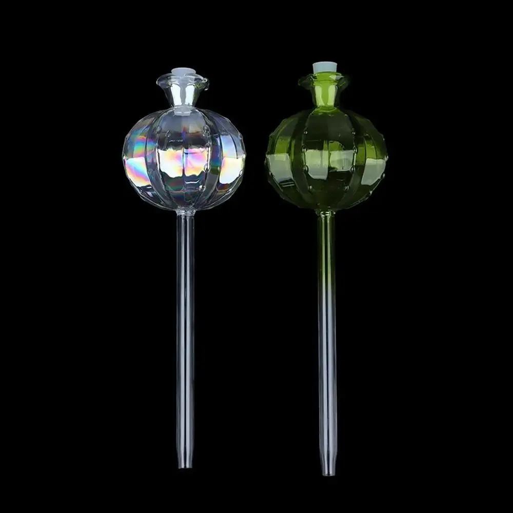 Macetero de autorriego automático de Cactus, bombillas de riego automático de plantas de vidrio, bonito alimentador de agua para plantas, bombillas de vidrio para interiores - imagen 2