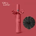 Wine red-xm