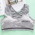 YFP86grey