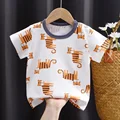 I038-little tiger