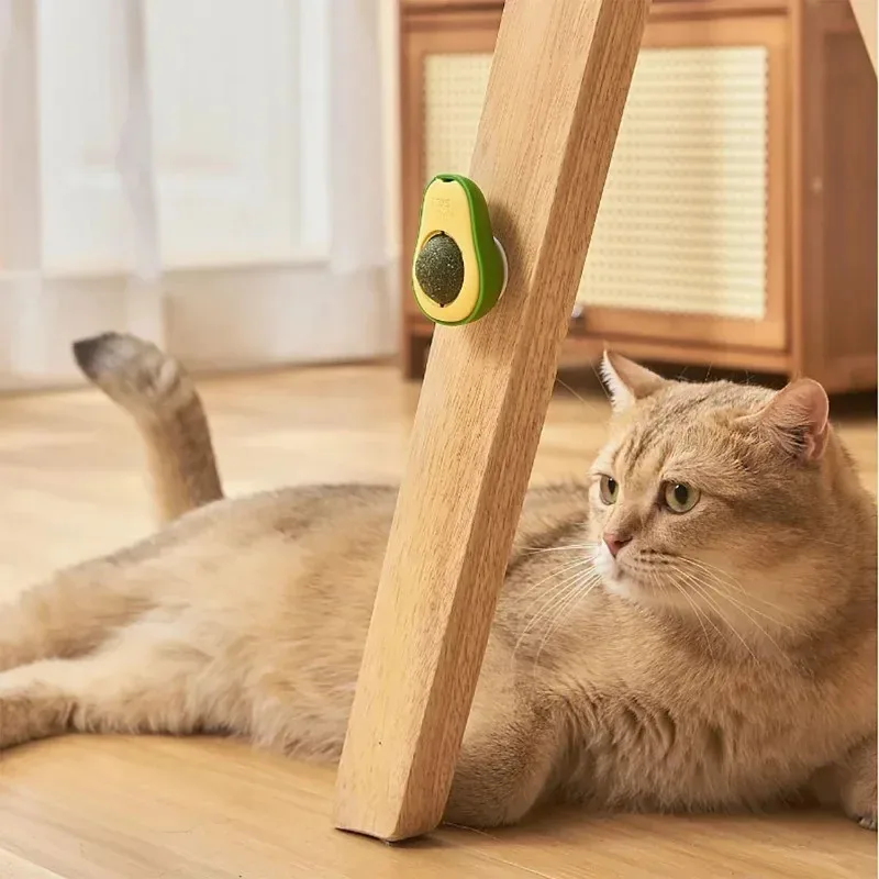 Bola de hierba gatera con limpiador dental de menta para gatos - imagen 3