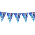 10pcs pennants