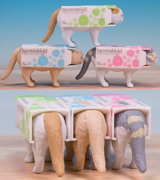 Original capsule toys cute kawaii Hacottishfold 3 Scottish Fold cat in tissue box gashapon figures - imagen 4