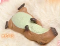 Capybara