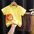 K076-lion