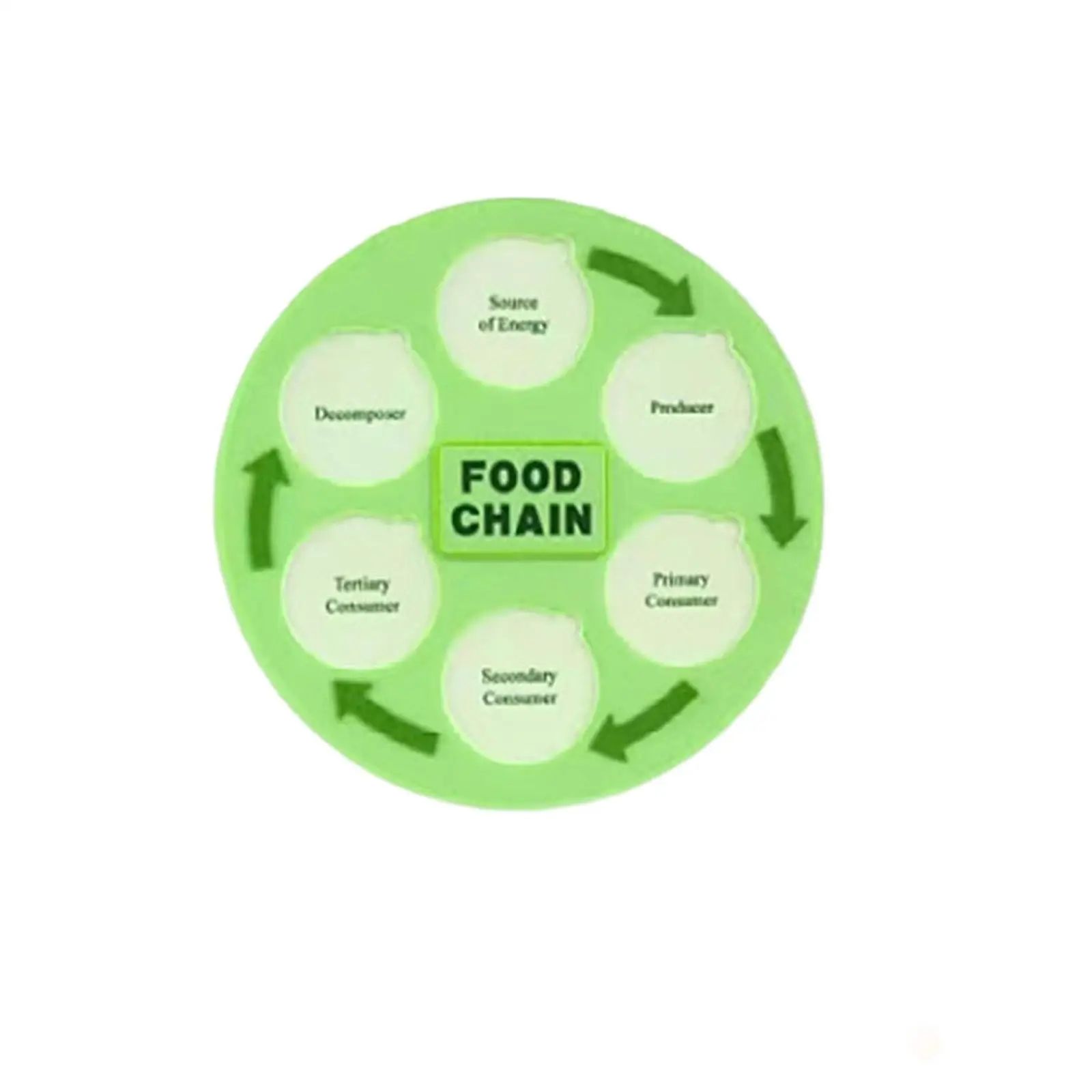 Life Cycle Kit Food Chain for Toddlers Science Kits Animal Learning Food Web for Children Preschool 3 4 5 6 7 8 Classroom