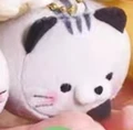 black ear cat