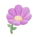 for PURPLE