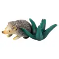 hedgehog with plant