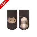 Gray bear
